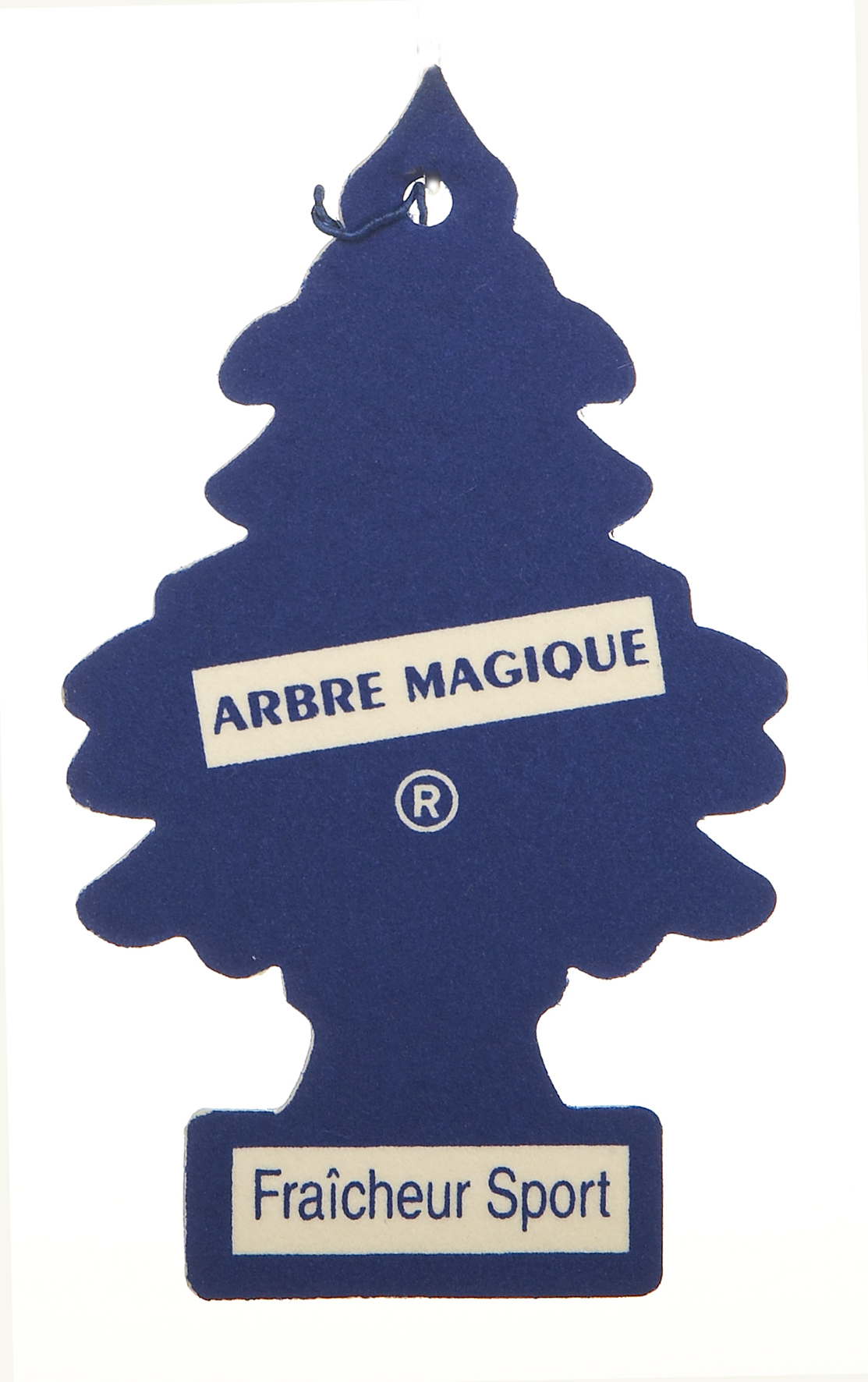 L'Arbre Magique : 50 ans et toutes ses branches ! - Le Blog de Carter-Cash